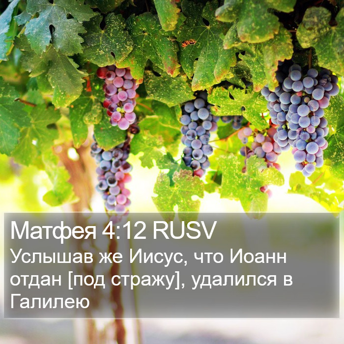 Матфея 4:12 RUSV Bible Study