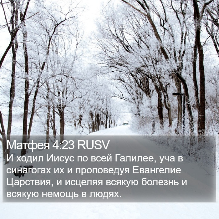 Матфея 4:23 RUSV Bible Study