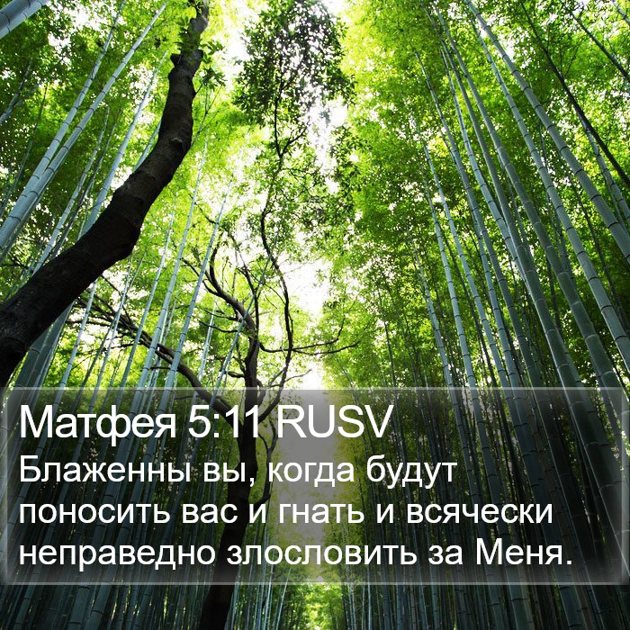 Матфея 5:11 RUSV Bible Study