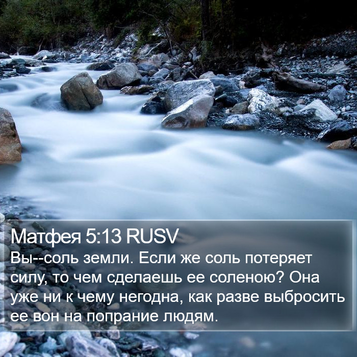 Матфея 5:13 RUSV Bible Study