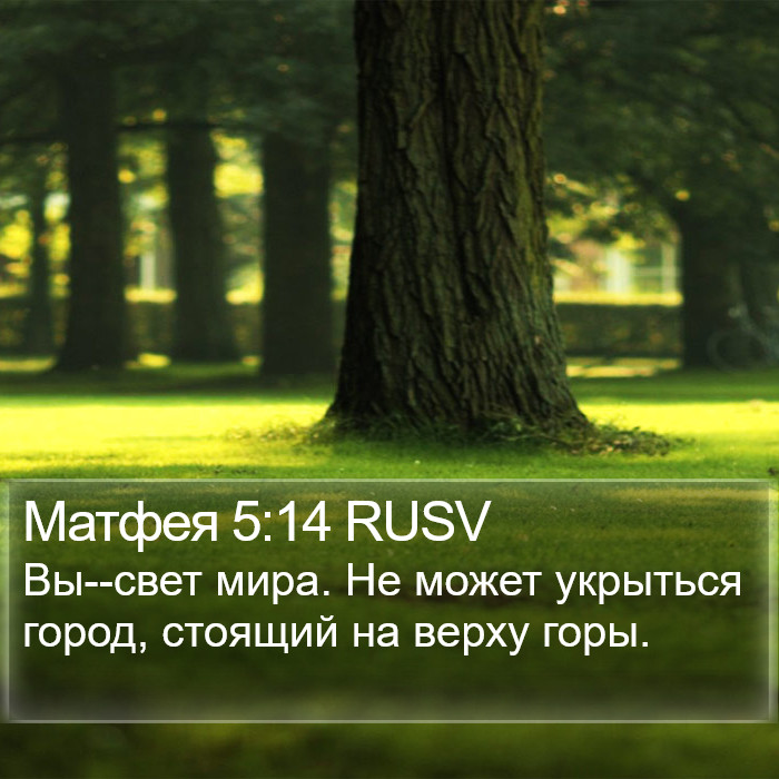 Матфея 5:14 RUSV Bible Study