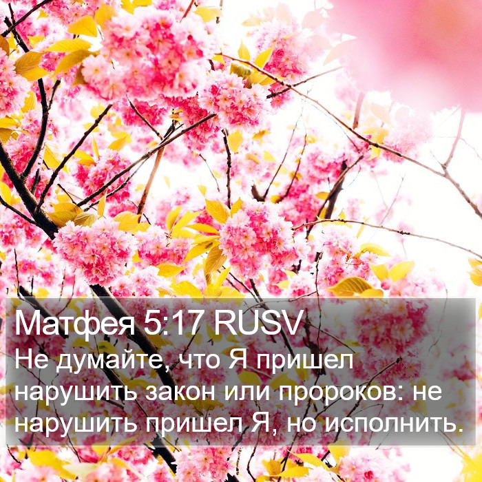 Матфея 5:17 RUSV Bible Study
