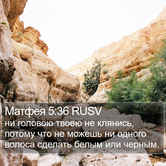Матфея 5:36 RUSV Bible Study
