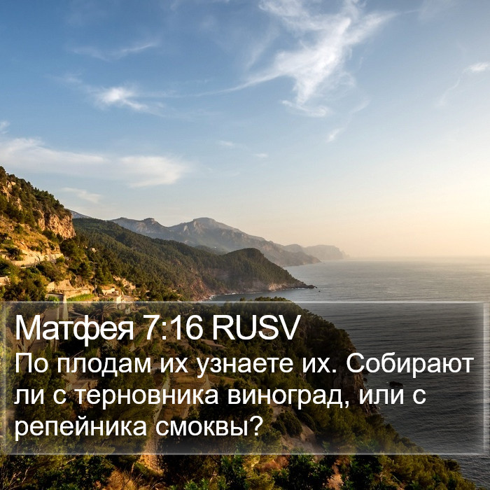 Матфея 7:16 RUSV Bible Study