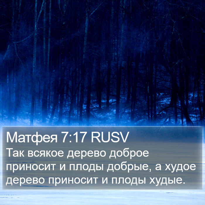 Матфея 7:17 RUSV Bible Study