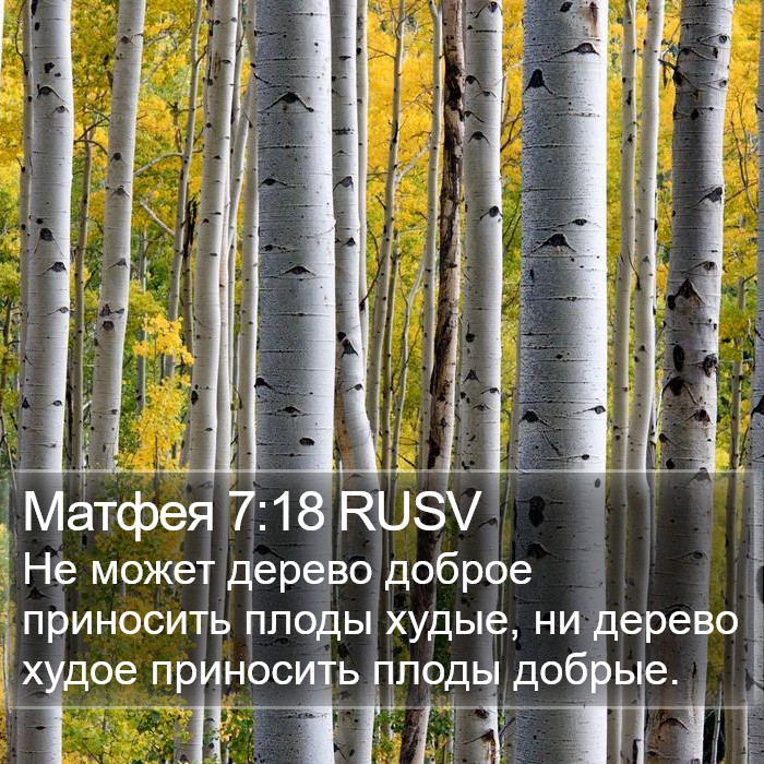 Матфея 7:18 RUSV Bible Study