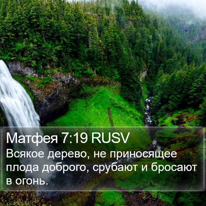 Матфея 7:19 RUSV Bible Study