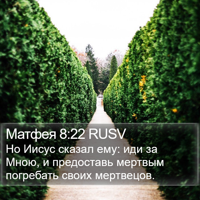 Матфея 8:22 RUSV Bible Study