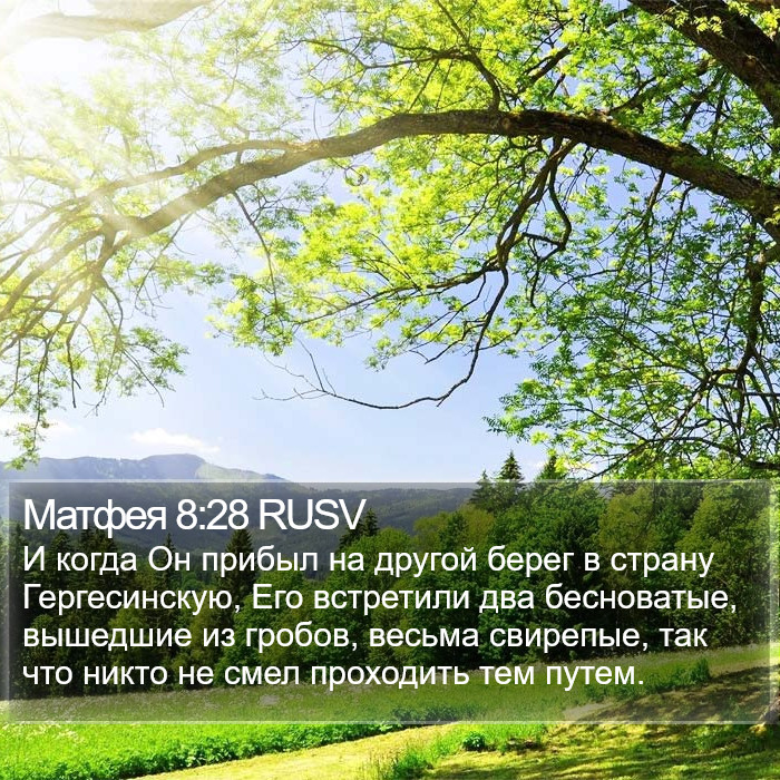Матфея 8:28 RUSV Bible Study