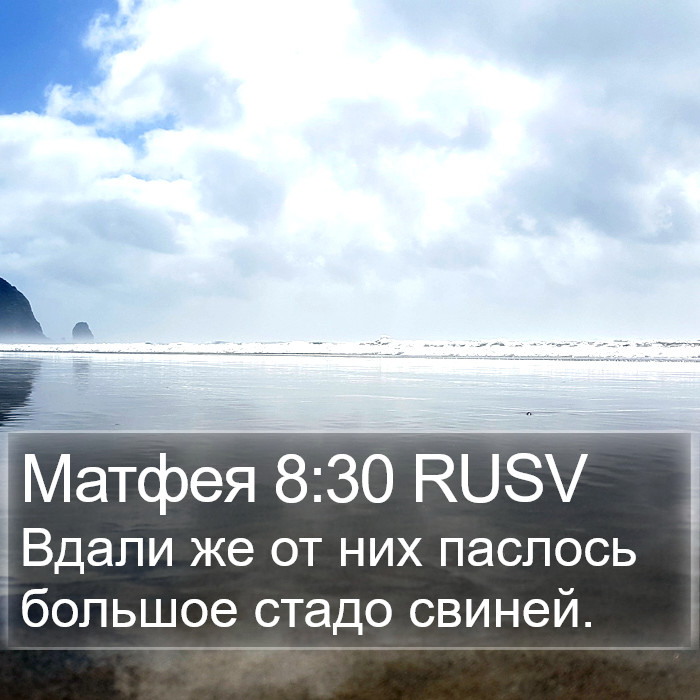 Матфея 8:30 RUSV Bible Study