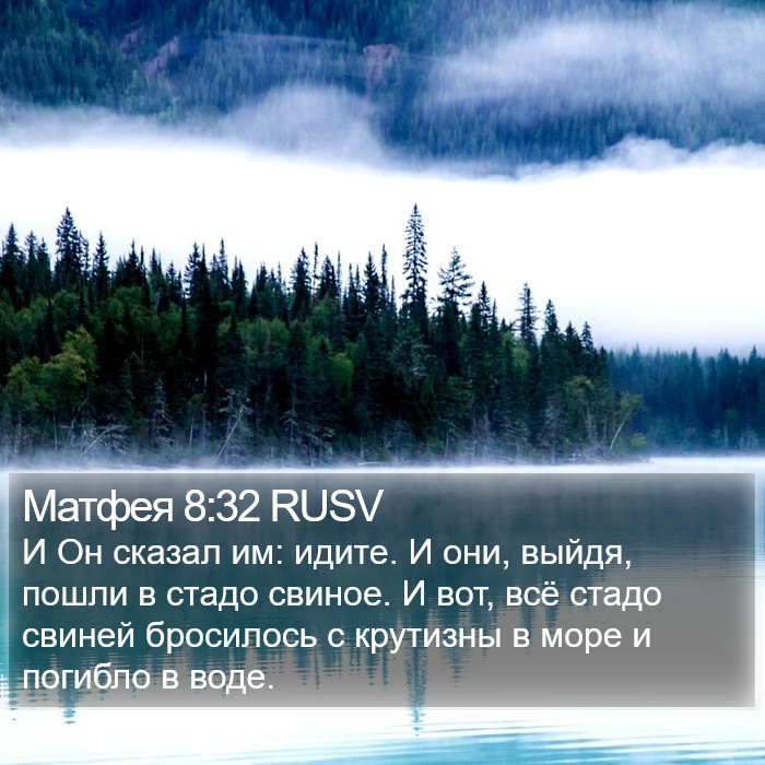 Матфея 8:32 RUSV Bible Study