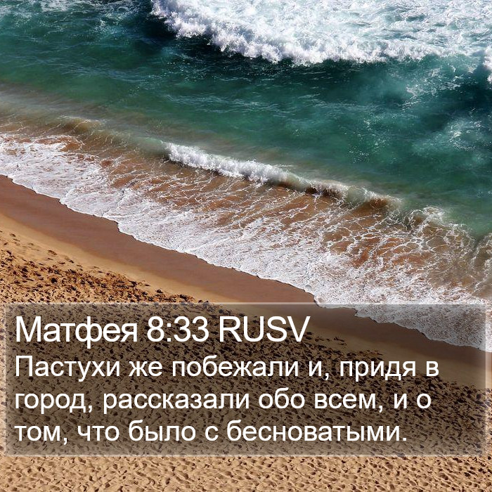 Матфея 8:33 RUSV Bible Study
