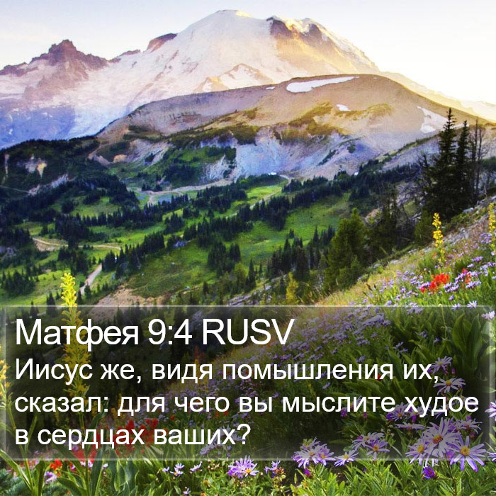 Матфея 9:4 RUSV Bible Study