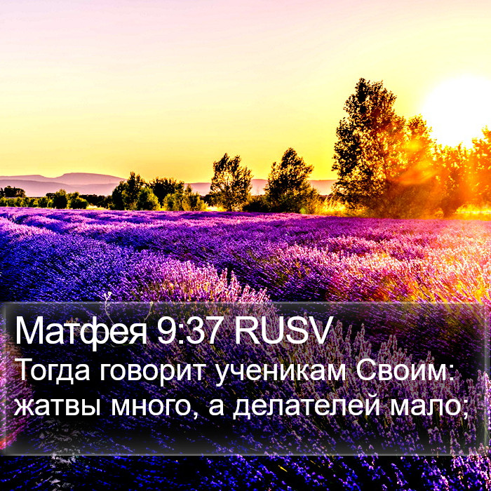 Матфея 9:37 RUSV Bible Study