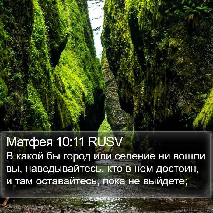 Матфея 10:11 RUSV Bible Study