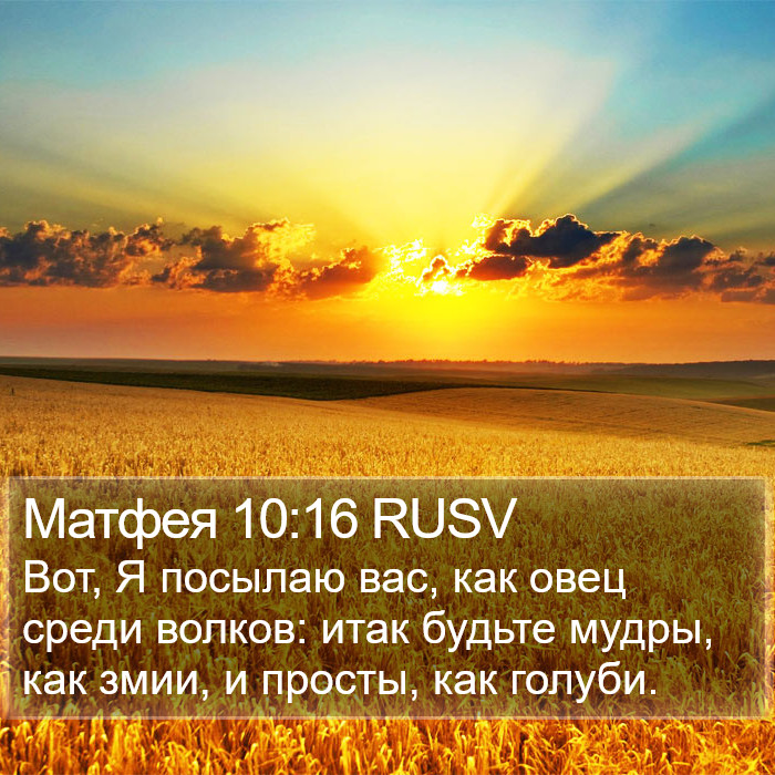 Матфея 10:16 RUSV Bible Study