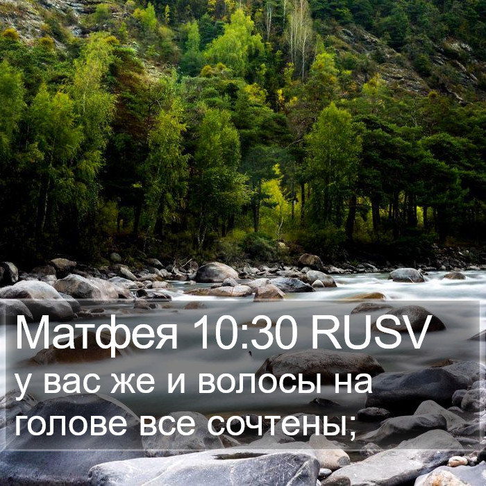 Матфея 10:30 RUSV Bible Study