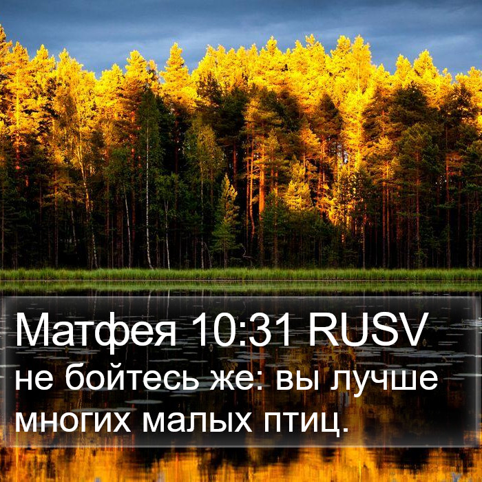 Матфея 10:31 RUSV Bible Study