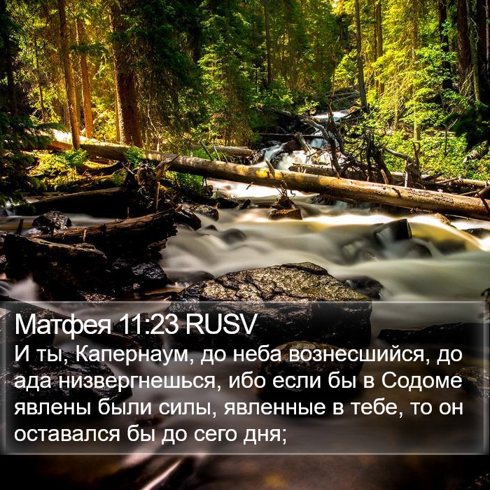 Матфея 11:23 RUSV Bible Study