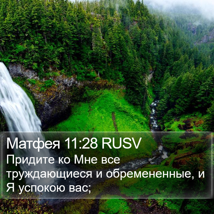 Матфея 11:28 RUSV Bible Study