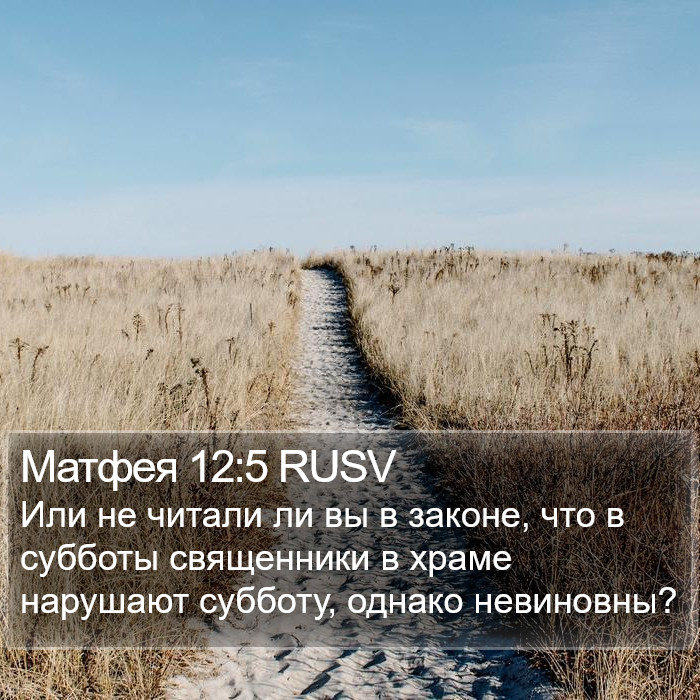Матфея 12:5 RUSV Bible Study