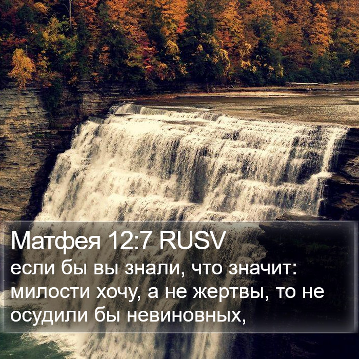 Матфея 12:7 RUSV Bible Study