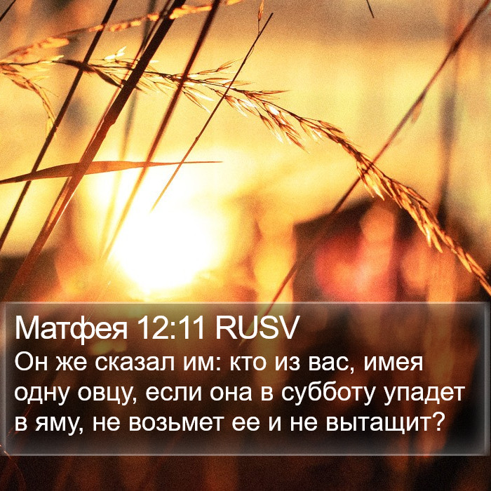 Матфея 12:11 RUSV Bible Study