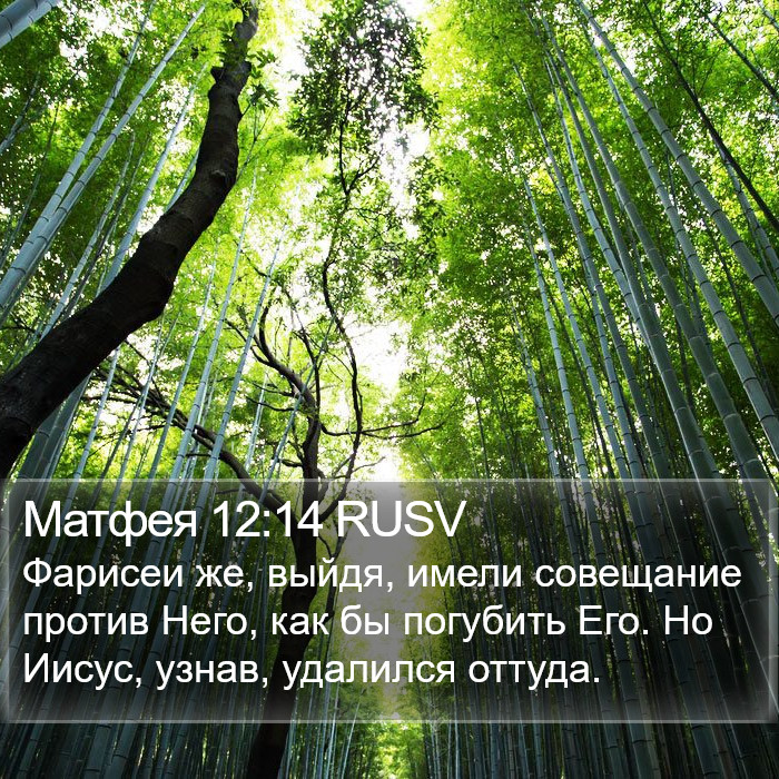 Матфея 12:14 RUSV Bible Study