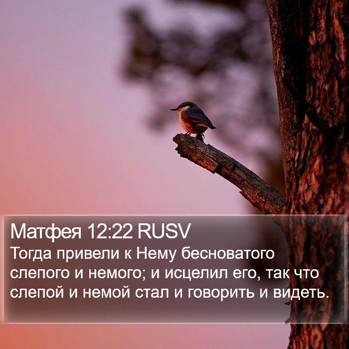 Матфея 12:22 RUSV Bible Study