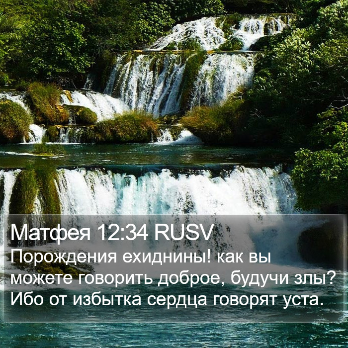 Матфея 12:34 RUSV Bible Study
