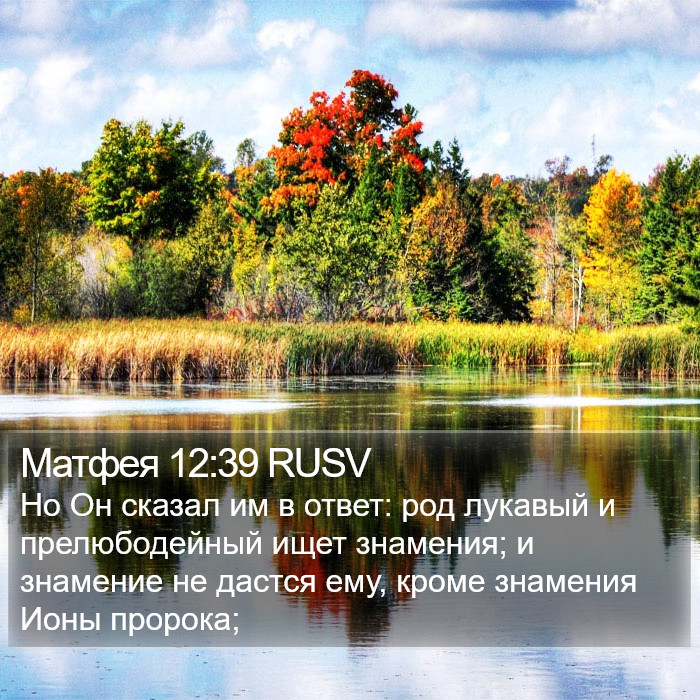 Матфея 12:39 RUSV Bible Study