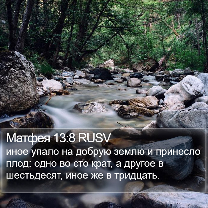 Матфея 13:8 RUSV Bible Study