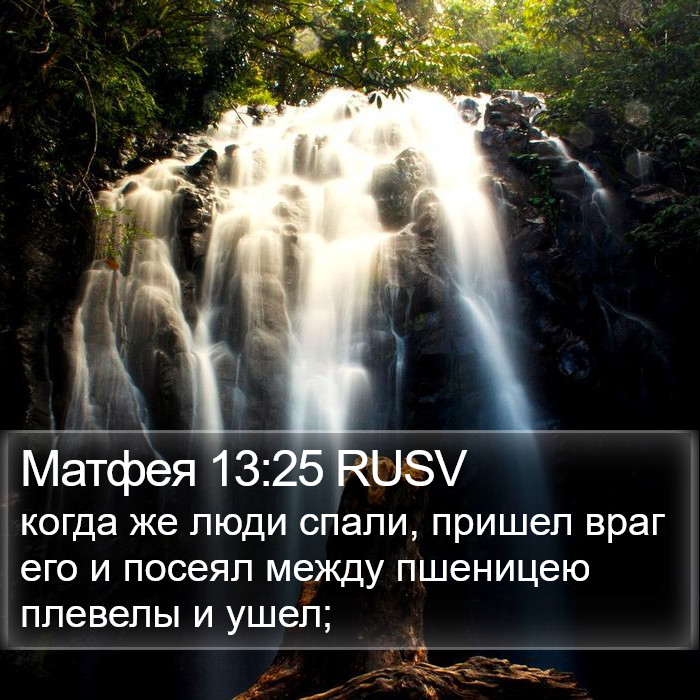 Матфея 13:25 RUSV Bible Study