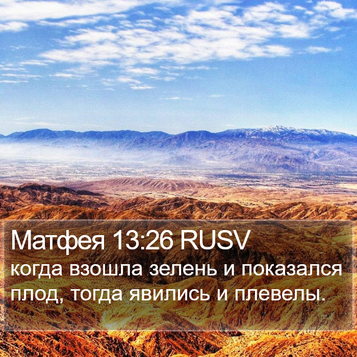 Матфея 13:26 RUSV Bible Study