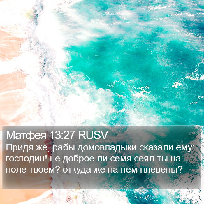 Матфея 13:27 RUSV Bible Study