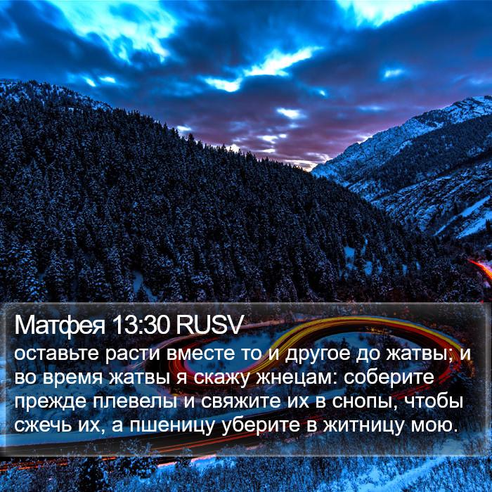 Матфея 13:30 RUSV Bible Study