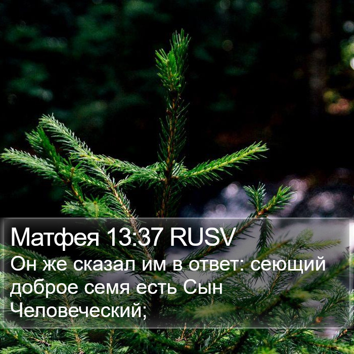 Матфея 13:37 RUSV Bible Study