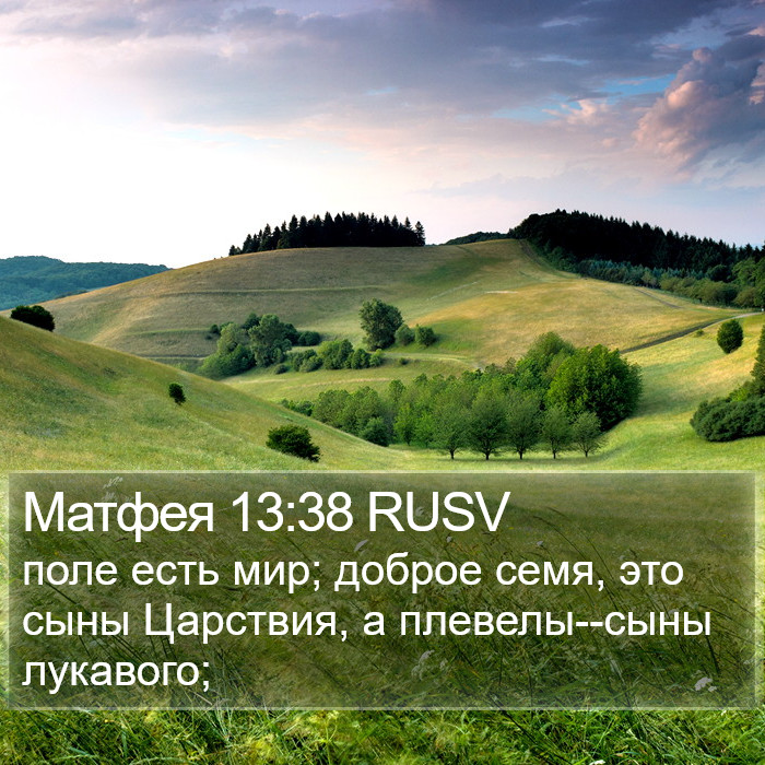 Матфея 13:38 RUSV Bible Study