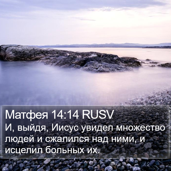 Матфея 14:14 RUSV Bible Study