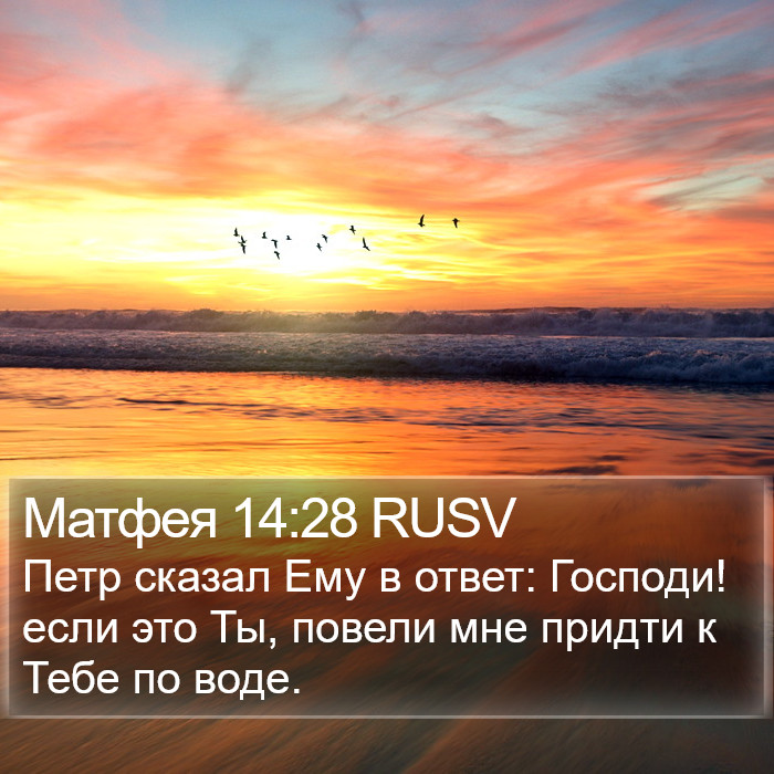 Матфея 14:28 RUSV Bible Study