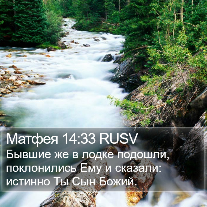 Матфея 14:33 RUSV Bible Study