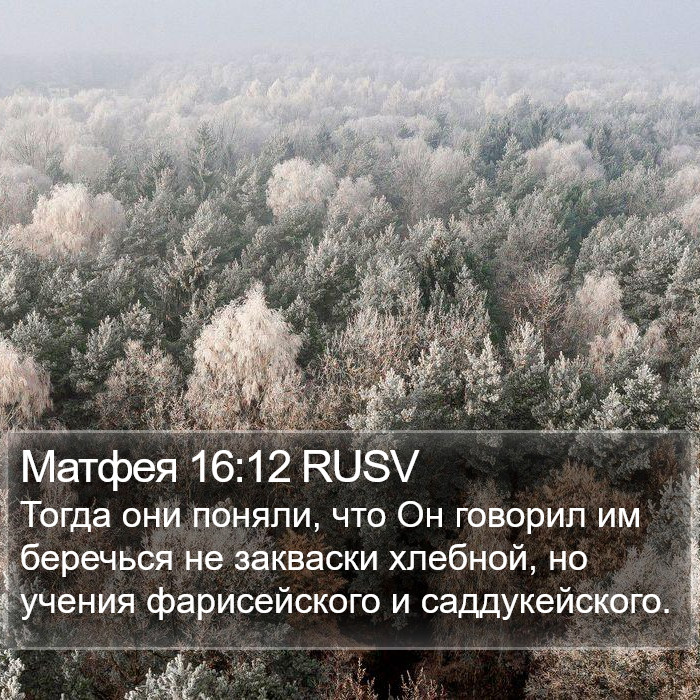 Матфея 16:12 RUSV Bible Study