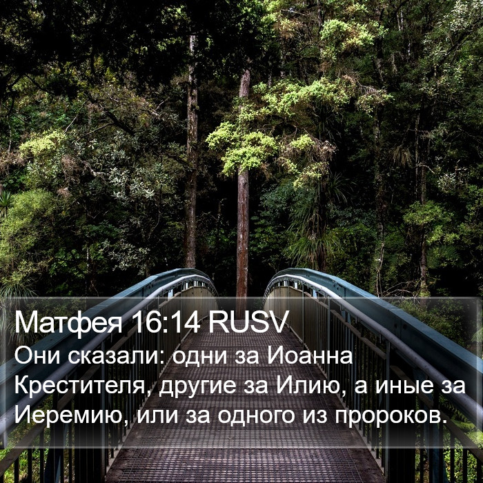 Матфея 16:14 RUSV Bible Study
