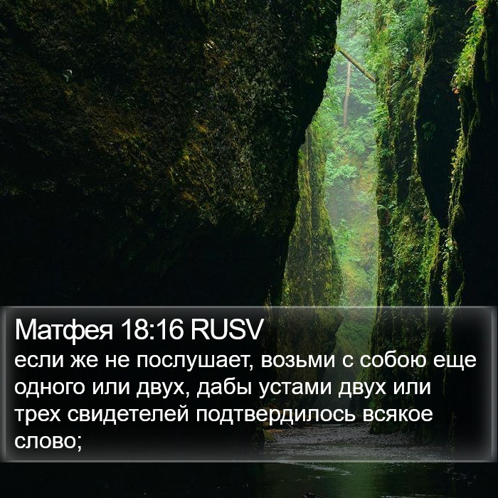 Матфея 18:16 RUSV Bible Study