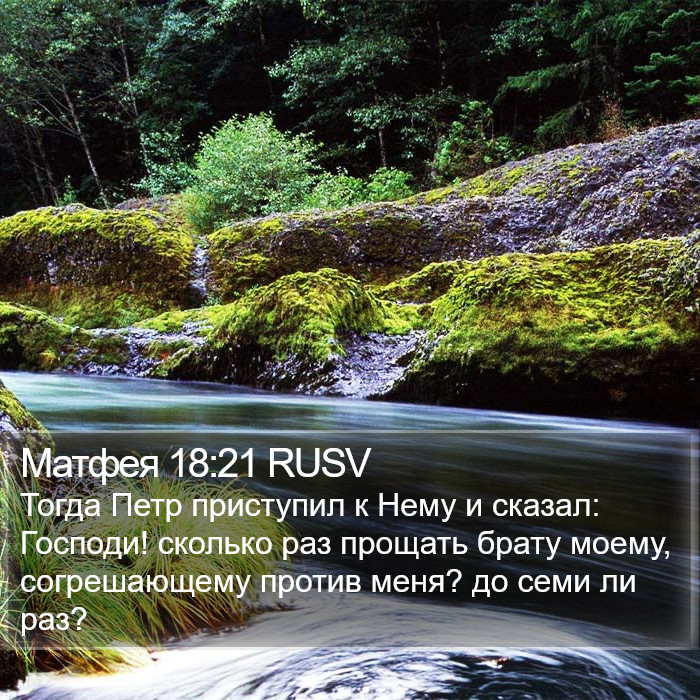 Матфея 18:21 RUSV Bible Study