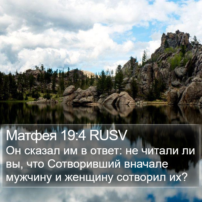 Матфея 19:4 RUSV Bible Study