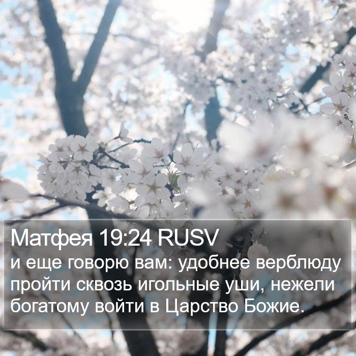 Матфея 19:24 RUSV Bible Study