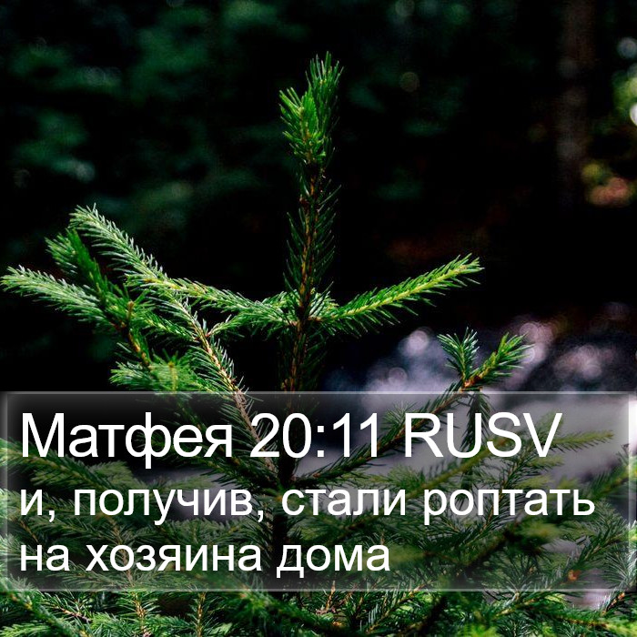 Матфея 20:11 RUSV Bible Study