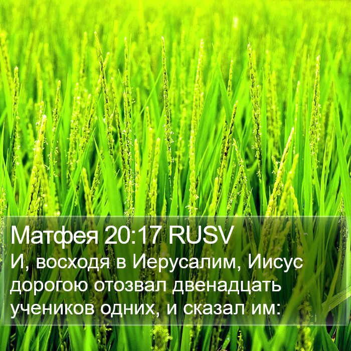 Матфея 20:17 RUSV Bible Study