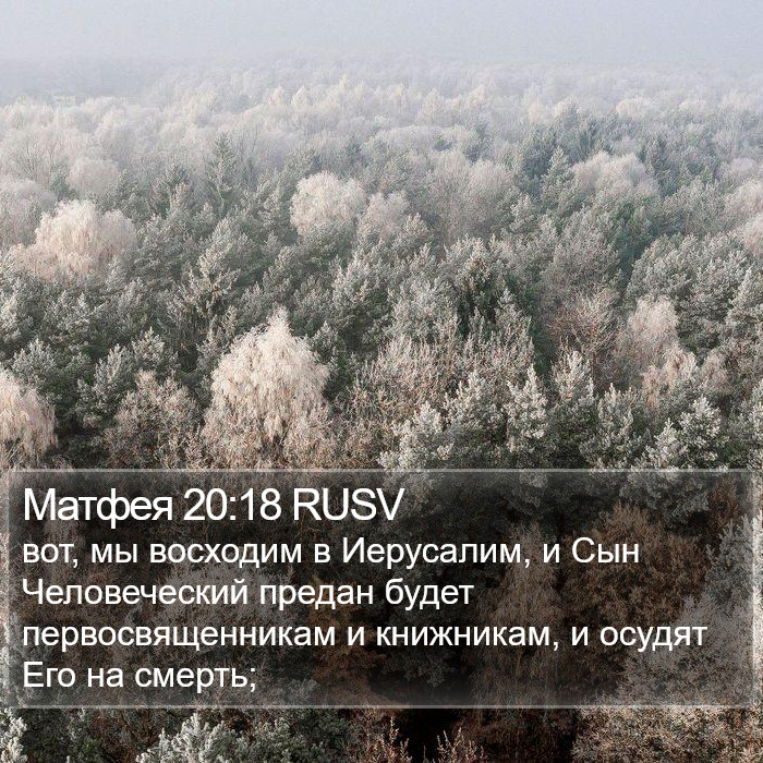 Матфея 20:18 RUSV Bible Study